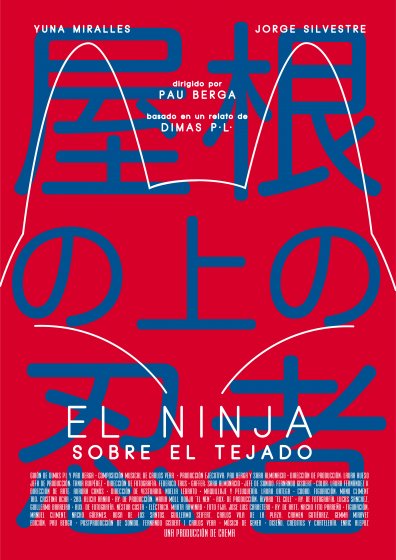 Póster de El Ninja en el tejado